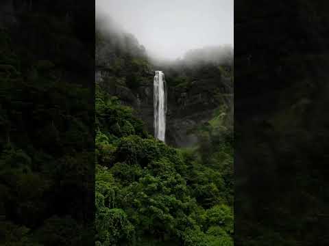 #jungle #junglebook #jungleboys #junglefever #junglelife #junglevibes #junglecruise #junglesafari