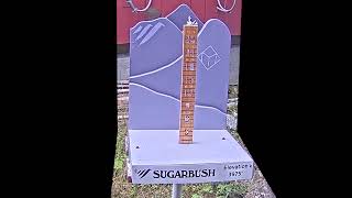 Heavens Gate Snow Stake live webcam