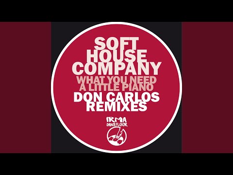 What You Need (Don Carlos Remix)