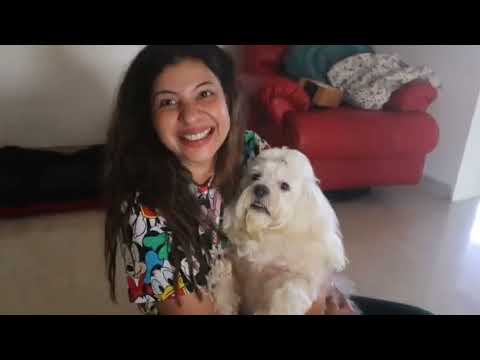 Cherru hamara khujli wala kutta ha 😂 || song #ssvlogs  #funnymoments #song #dogs