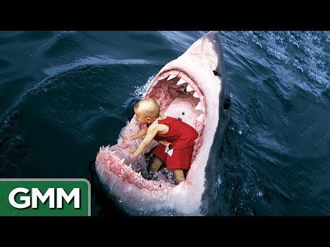 6 Strangest Things Swallowed by a Shark