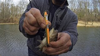 Classic Jerkbait Modified!!! (Winter Bass Fishing at the Farm Pond)