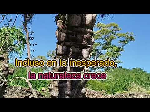 Incluso en lo inesperado la Naturaleza crece: Parque Nacional El Palmar Colon Entre Ríos.