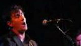 The Mountain Goats - Old College Try