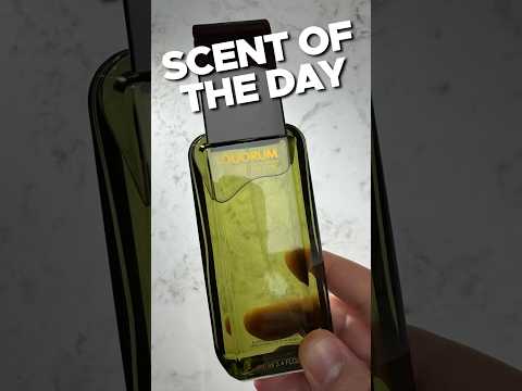 🔥 Scent of the Day :: Quorum by Antonio Puig 🔥