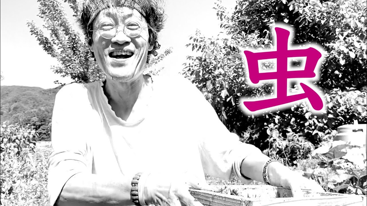 ⚠️ 閲覧注意 ⚠️ 日本の秘境 🗾 原始のグルメ