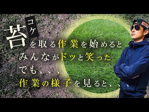 芝生のコケとの戦いに成功する トピックス
