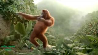 animal Funny Ape Song  Cartoon Parody  Dancing Gorilla Kids Cartoons movies 2015