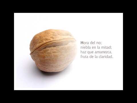 El Miedo - Jorge Fandermole