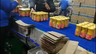 Boyuan Low-speed hot melt adhesive paper wrapping machine