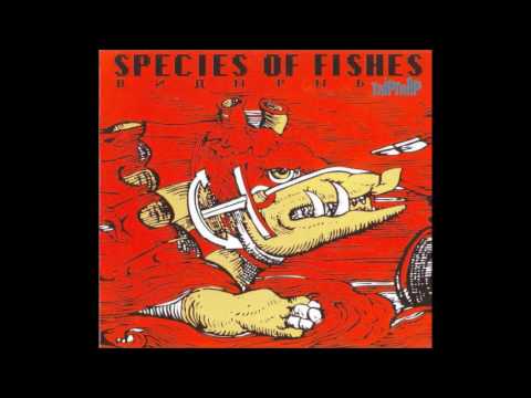 Species Of Fishes - Health 100%