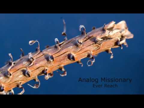 Analog Missionary/EverReach