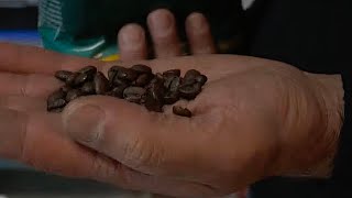 Thumbnail del capítulo