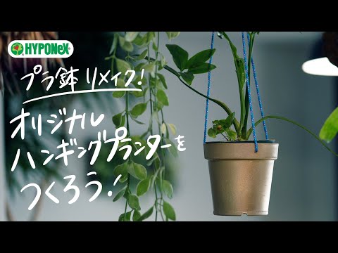テラスとバルコニーの装飾: 吊り下げプランター用の 5 つの素晴らしい吊り下げ花  庭園