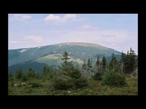 Und in dem Schneegebirge + Text