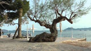 preview picture of video 'Puerto Pollensa (Video -5/Calm Day), Mallorca, Spain'