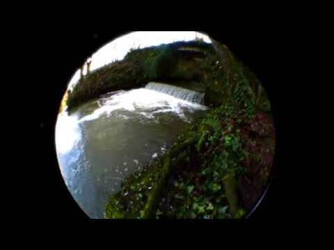 PhOniAndFlOrE - Worlda Steppa (Official Clip)