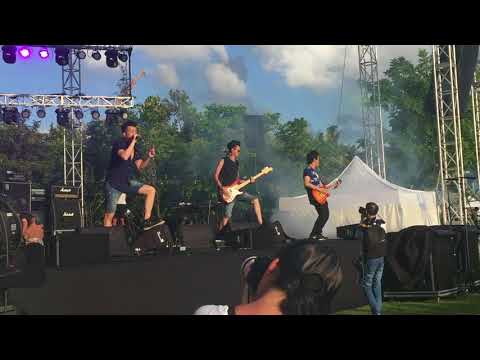 Dear Jane x 放大假@wowandflutterhk本地薑