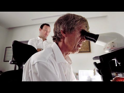 From Rough to World Record - Estrela de Fura - 55.22 ct