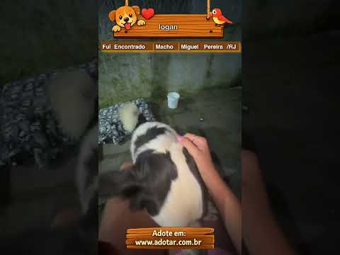 Vídeo de logan