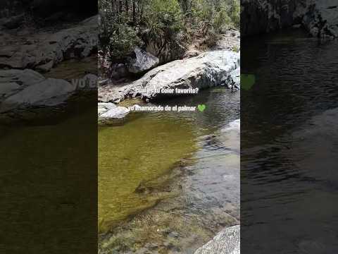 amando los verdes del balneario el palmar en Venadillo Tolima conócelo #elpalmar #venadillo