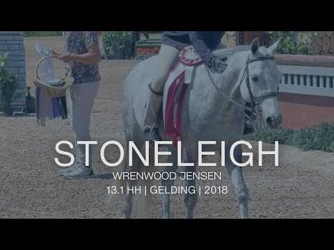 Stoneleigh video 1