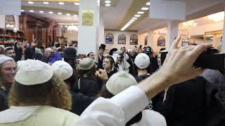 "מה הם כל כך שמחים"... אש של שמחה וריקודים בציון רבי נחמן לפני ראש השנה התשפ"ד