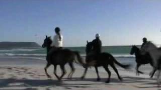 preview picture of video 'Noordhoek Horse Rides - Cape Peninsula, South Africa'