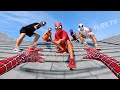 Am I A Member Of PRO 5 SPIDER MAN Team Top 3 Best Action POV Video