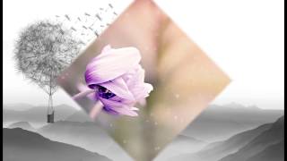 Shangly Joe   Old School Lounge   03   Bunnie Back   122 BPM   Deep House Vocals