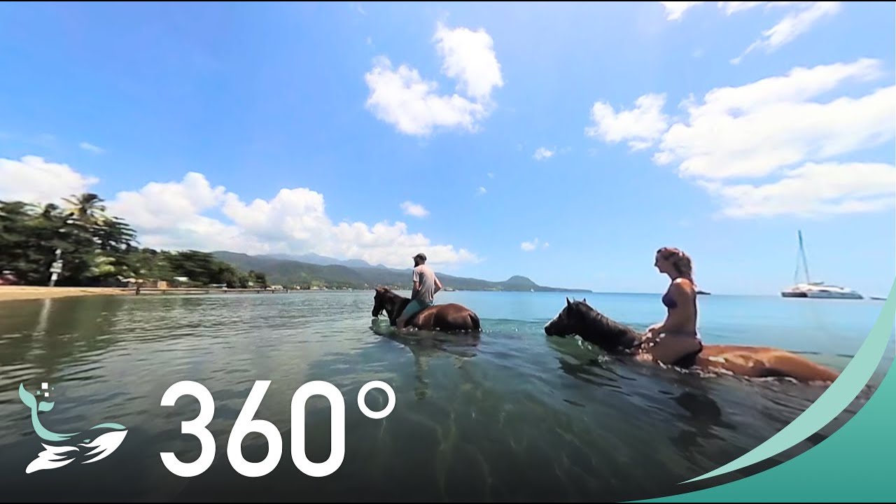 Horse Back Riding on the Beach | VR/360° Experience