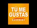 TU ME GUSTAS GUSSBABY AUDIO OFICIAL