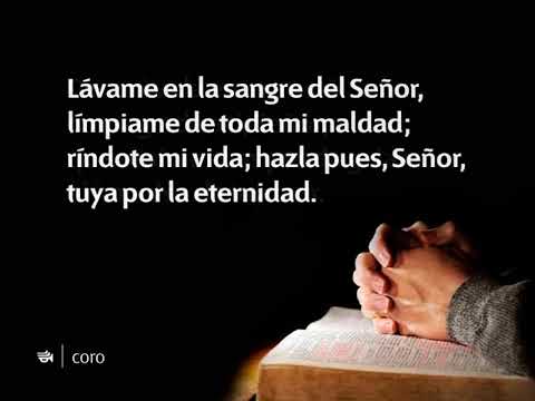 Himno 248 - Que mi vida entera esté | Himnario Adventista Nuevo