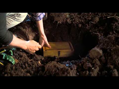 The Odd Life of Timothy Green   AMC 1080p