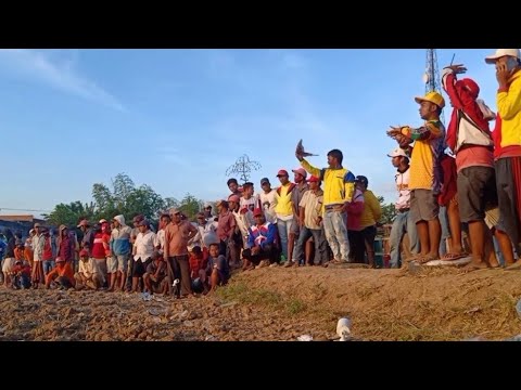 LOMBA MERPATI BALAP BABAK FINAL  TANAH MERAH BANGKALAN MADURA HARI MINGGU JARAK 1000 METER