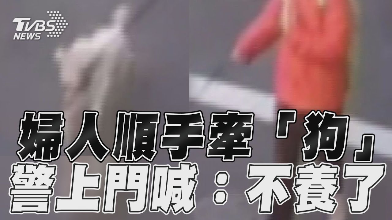 影音/高雄婦人順手牽「狗」 警上門竟喊:我不養了