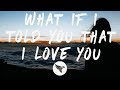 Ali Gatie What If I Told You That I Lo