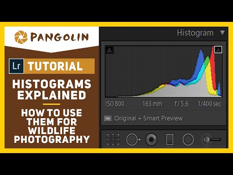 HISTOGRAMS Explained. How to use them when you edit your WILDLIFE PHOTOGRAPHY images.