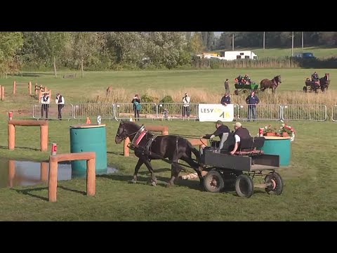 RE-LIVE 🔴 | sobota 2. 10. 2021 – MČR chladnokrevných koní Tlumačov