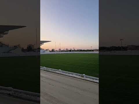 Kincsempark greyhound race #greyhound #dog