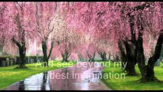 great expectations.wmv
