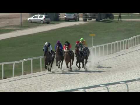 2017.04.02. 1.futam - MEGNYITÓ VERSENY (I.kat.) (szintetikus pálya)