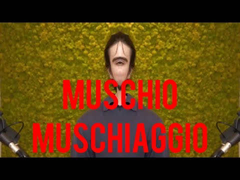YTP Sigla Muschio Selvaggio