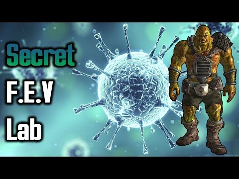 The FEV Lab