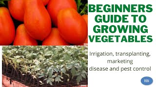 SUSTAINABLE VEGETABLE FARMING FOR BEGINNERS: GROW AND MARKET VEGETABLES