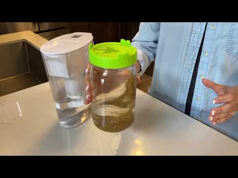 Alfalfa Sprouts Growing Guide