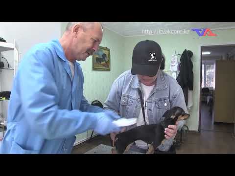 Выпуск программы “День” от 1 ноября 2023г.