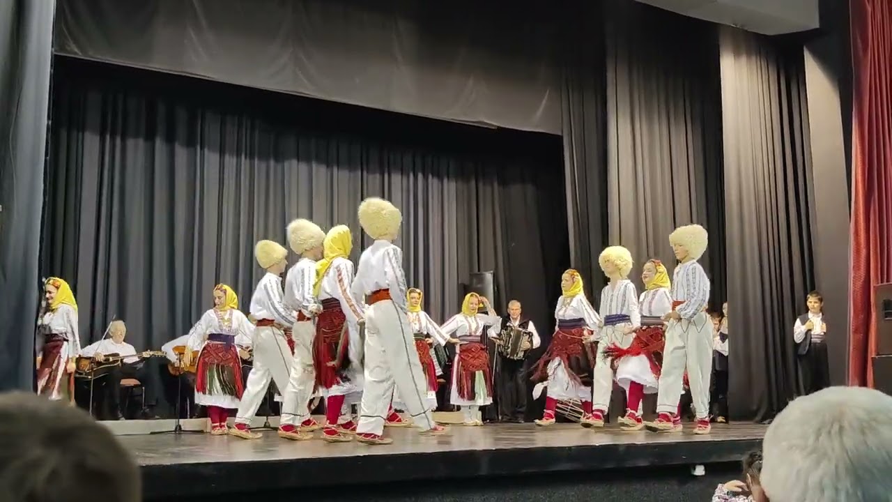 UNS Zaplanjski Vez - Srbsko