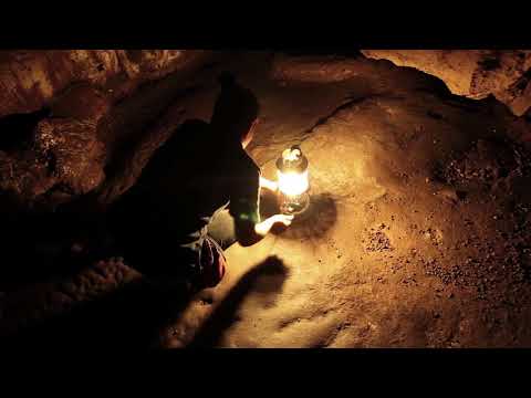 Monsters of the Mind | Exploring Inner Nature