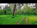 Звуки Природы - Лес - 2 часа Сна или Релакса на Природе 